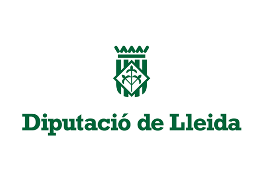 logo diputacio